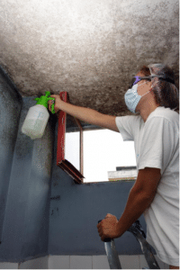 Read more about the article How to Deal with Mold on Drywall