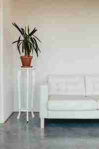 Read more about the article What Questions Should You Ask Your Drywall Contractor?