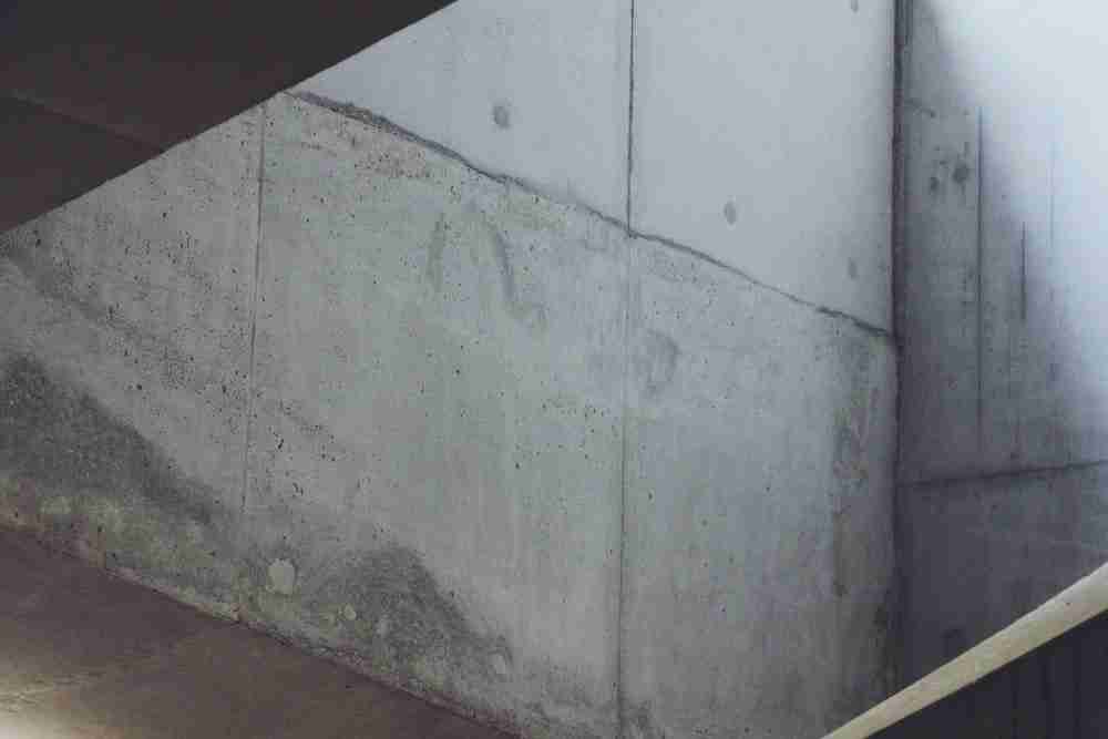 Mold on drywall